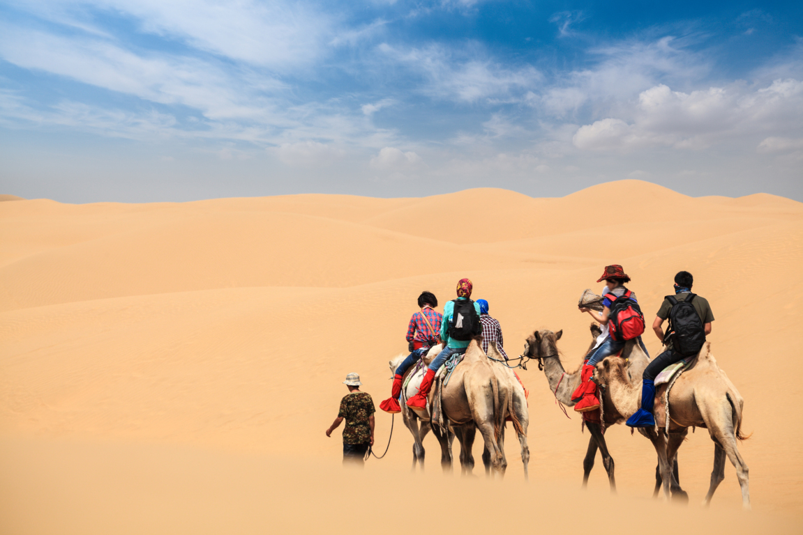 Paseo en camellos